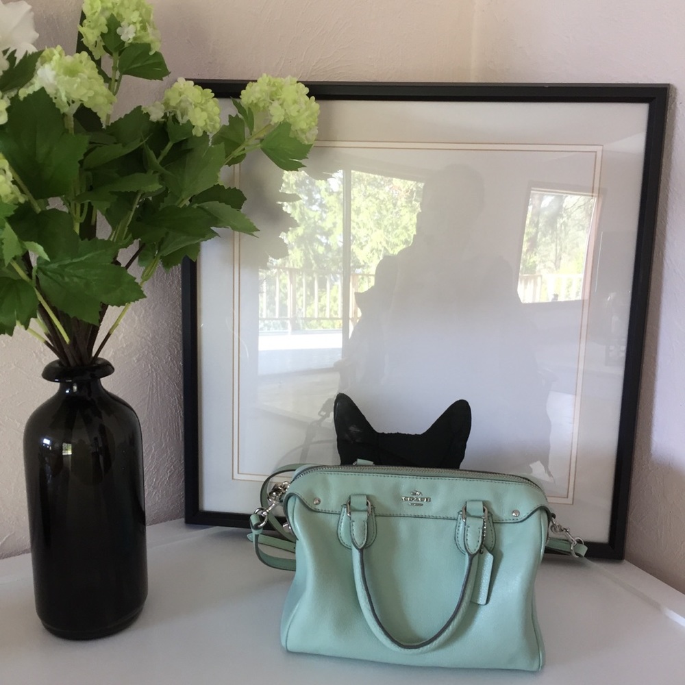 Coach Mint Pebble Leather Crossbody Bag